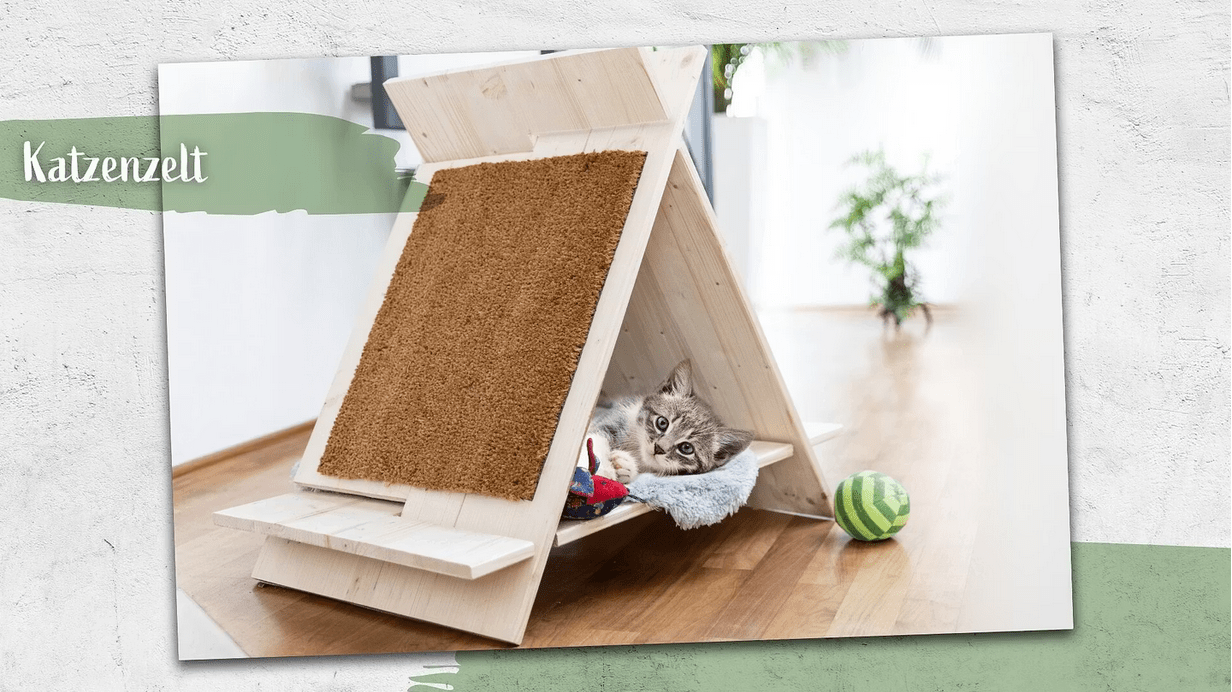 Katzenzelt