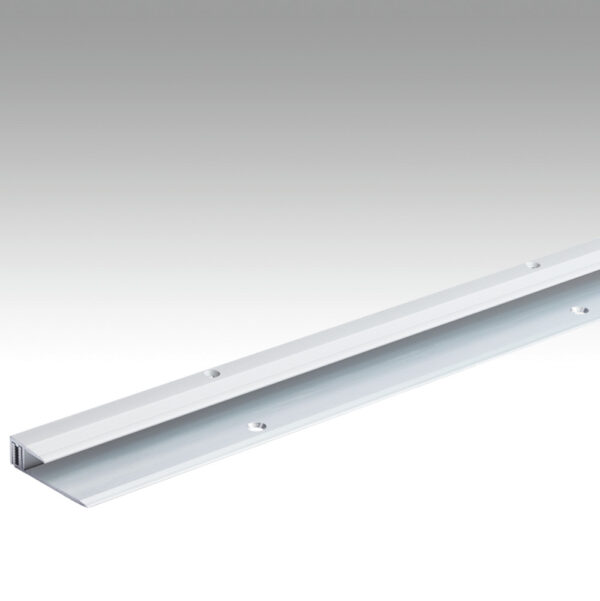 Meister Abschlussprofil Typ 201 Silber 1 m